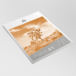 Plakat | A1