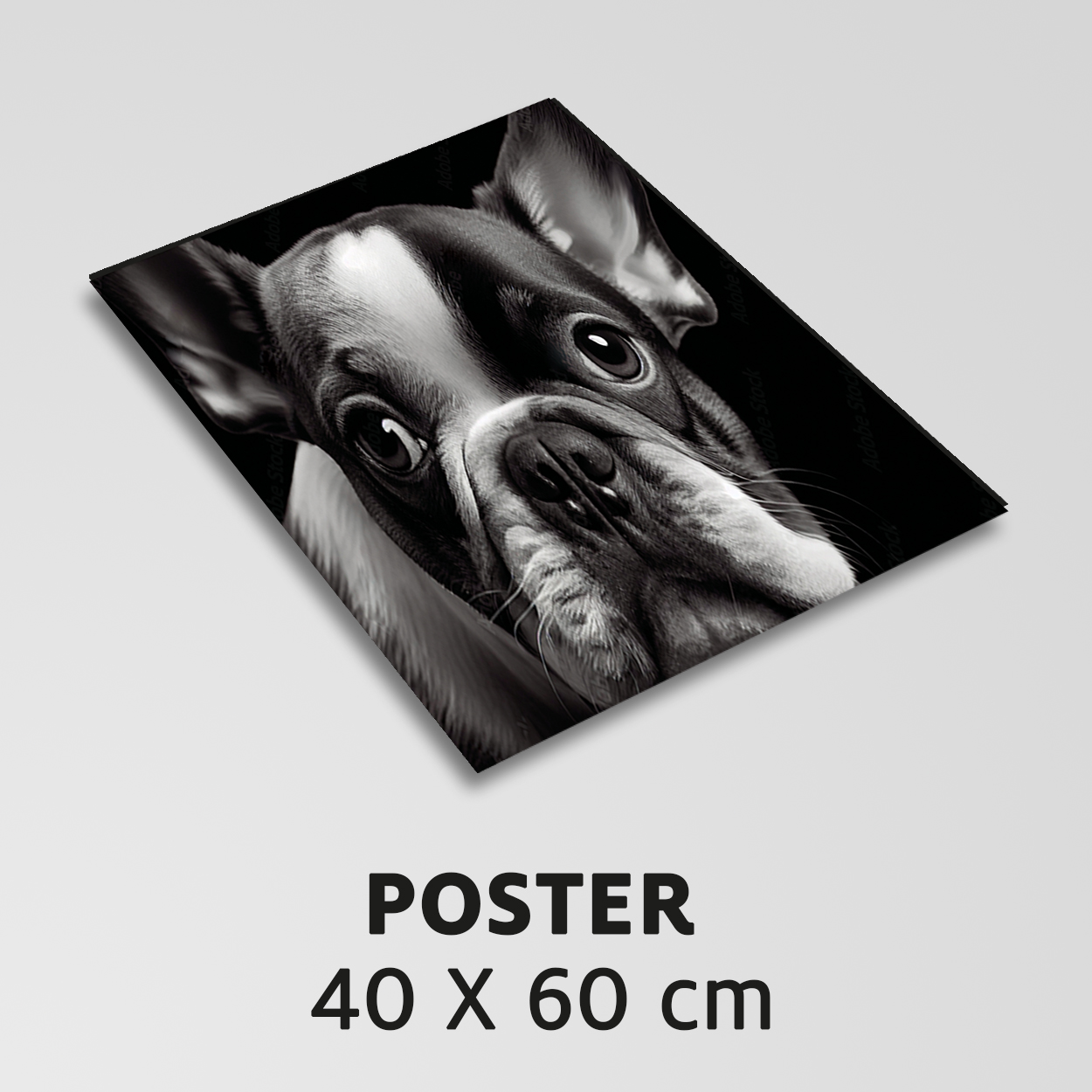 Poster | 40 x 60 cm